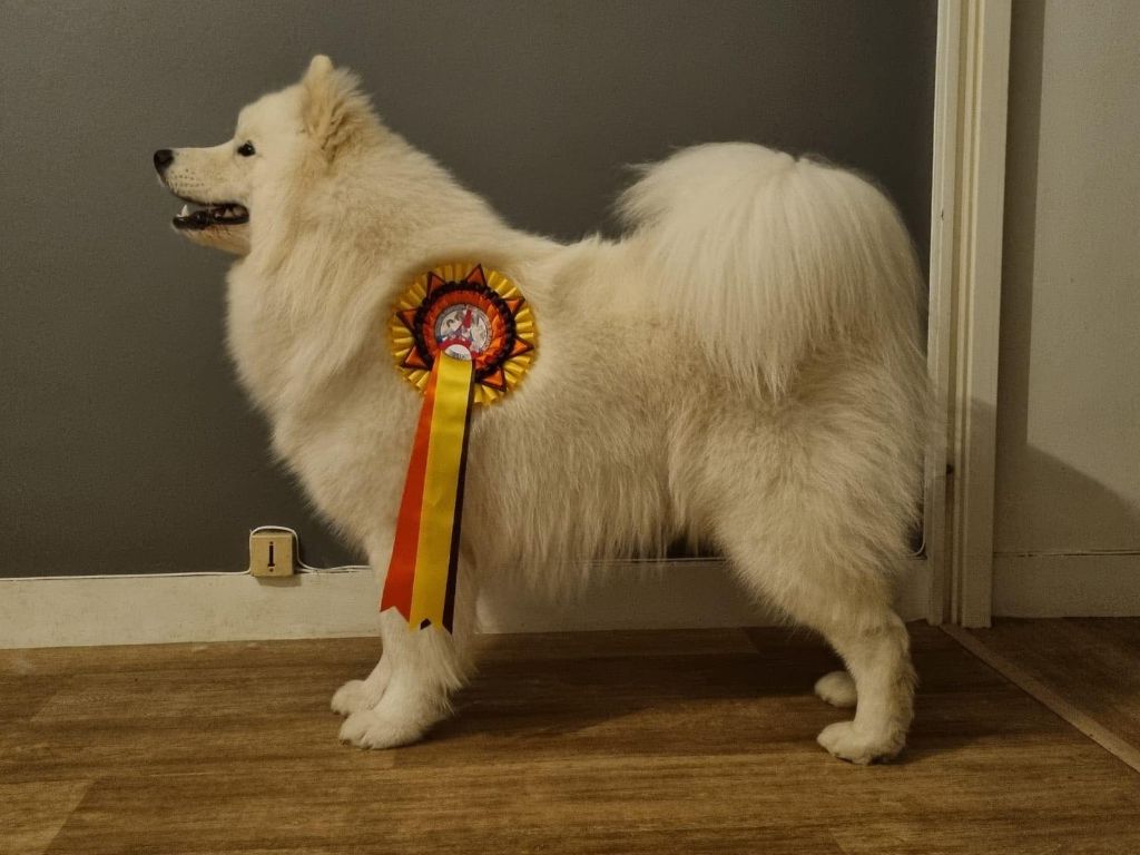 Von Weiss Juwelen - Résultats de l'Exposition Internationale de Paris Dog Show 2022