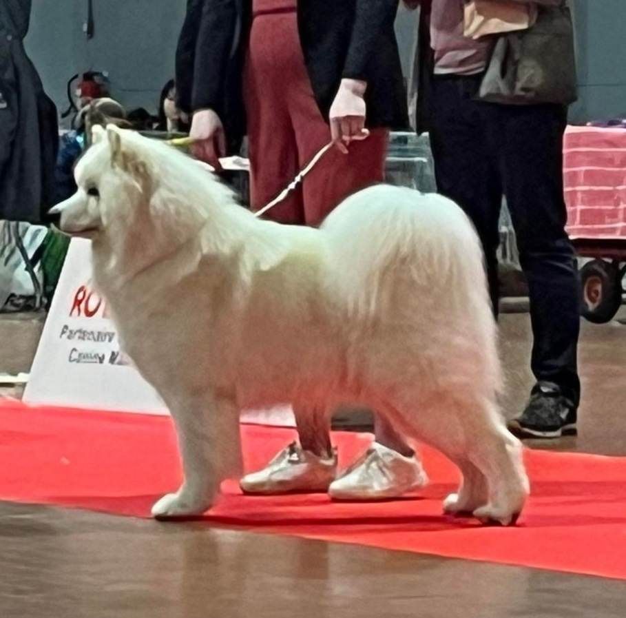 Von Weiss Juwelen - Résultats de l'Exposition Nationale de Angers 2023