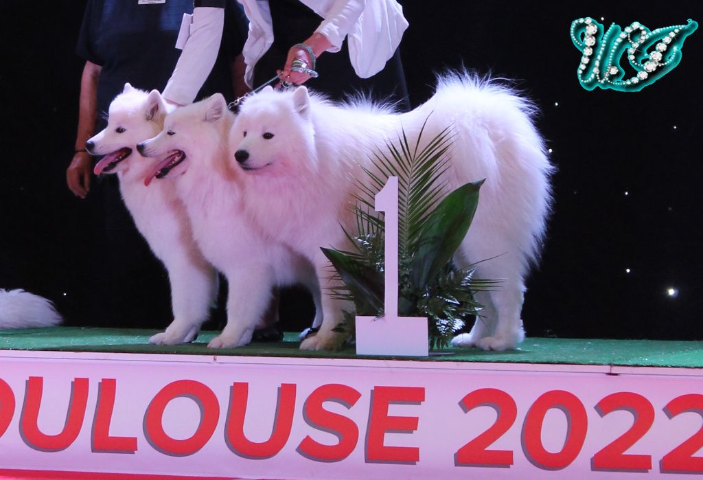 Von Weiss Juwelen - Résultats de l'Exposition Internationale de Toulouse en SPE 2022