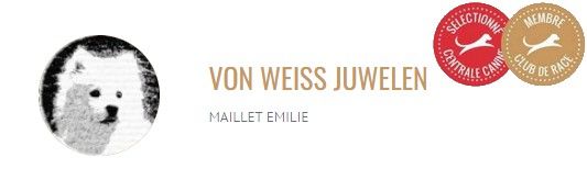 Von Weiss Juwelen - Elevage Sélectionné