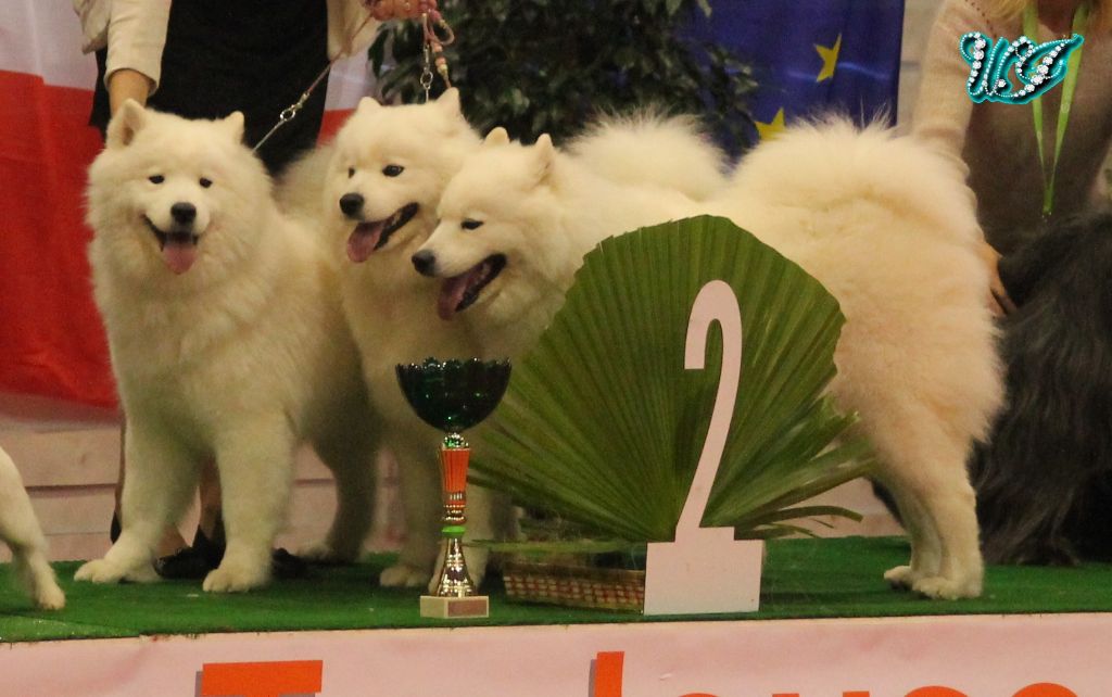 Von Weiss Juwelen - Résultats de l'Exposition Internationale de Toulouse 2019