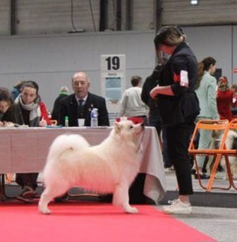 Von Weiss Juwelen - Résultats de l'Exposition Nationale de Nantes en SPE 2024