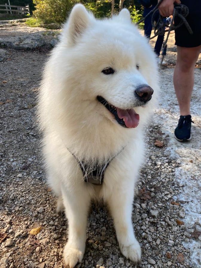Russian white ghost Von Weiss Juwelen