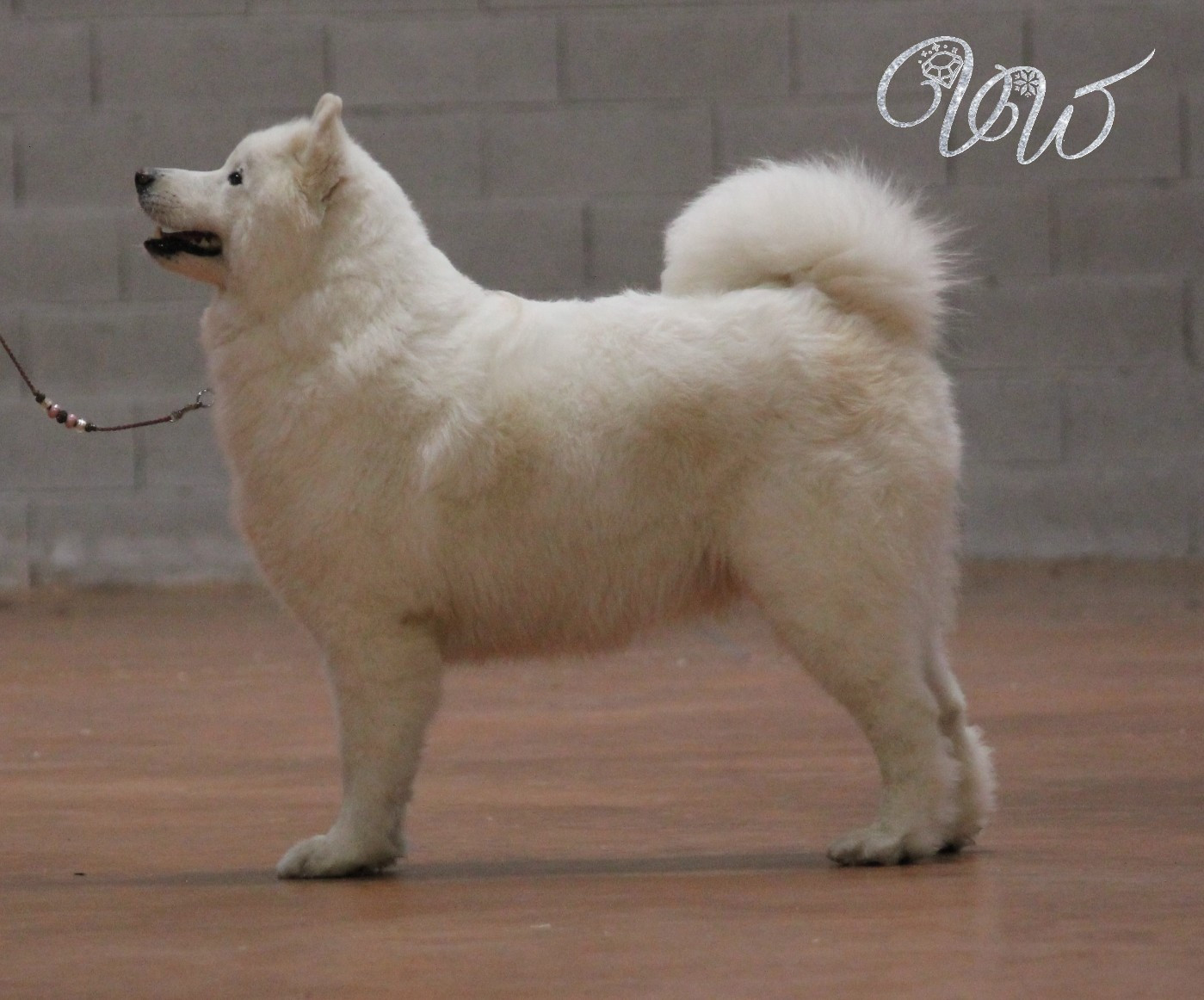 Sumptuous light-of-siberia Von Weiss Juwelen