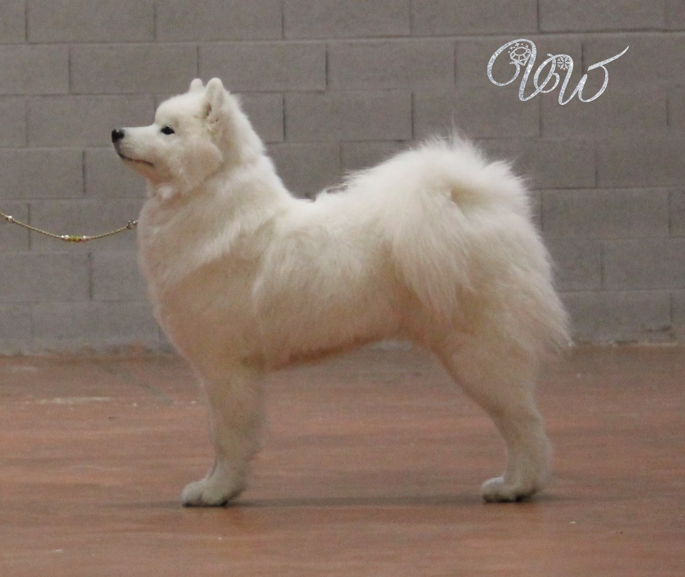 Valuable fire-of-sun Von Weiss Juwelen