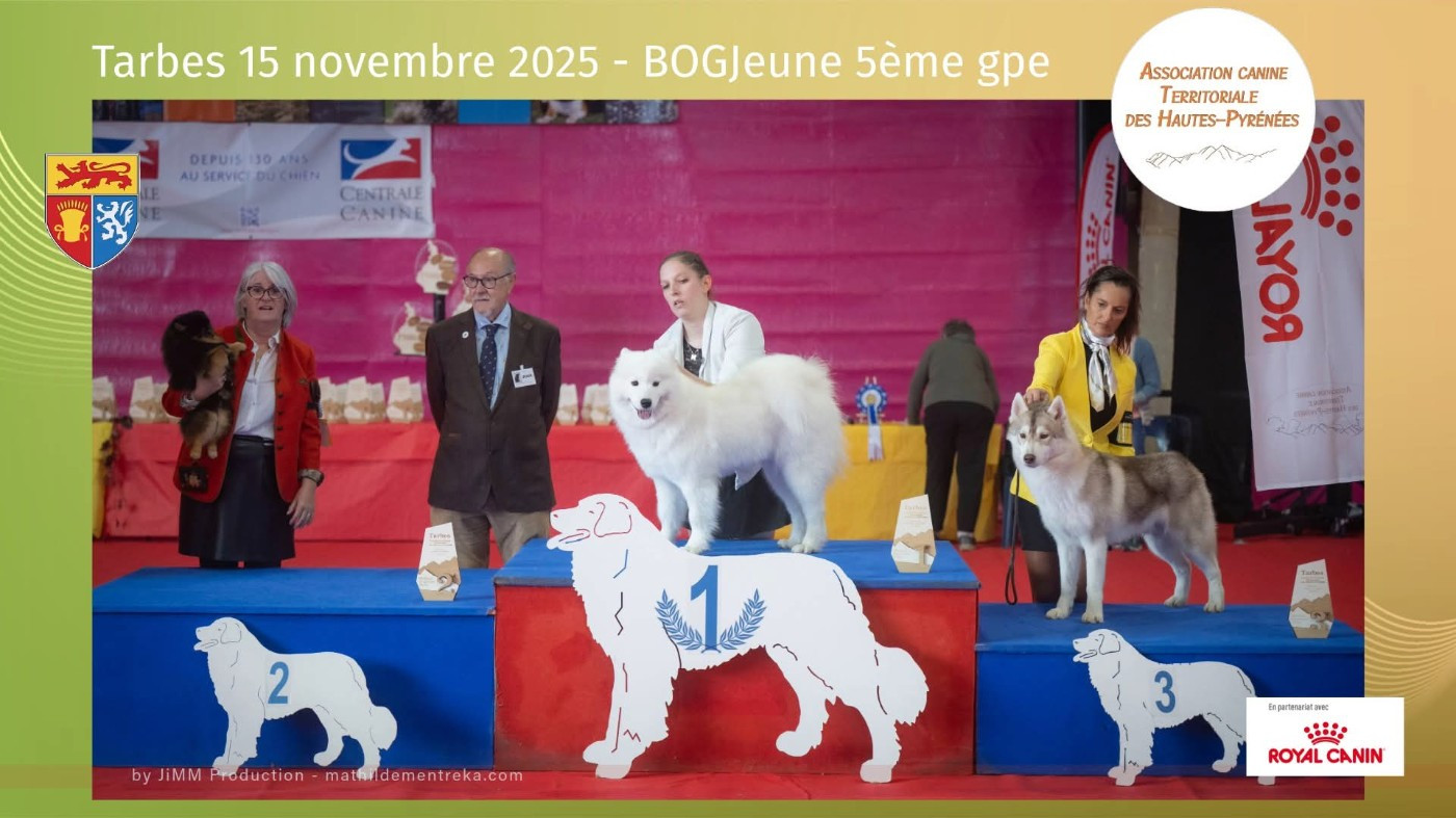 Résultats de l'Exposition Nationale de Tarbes 2025