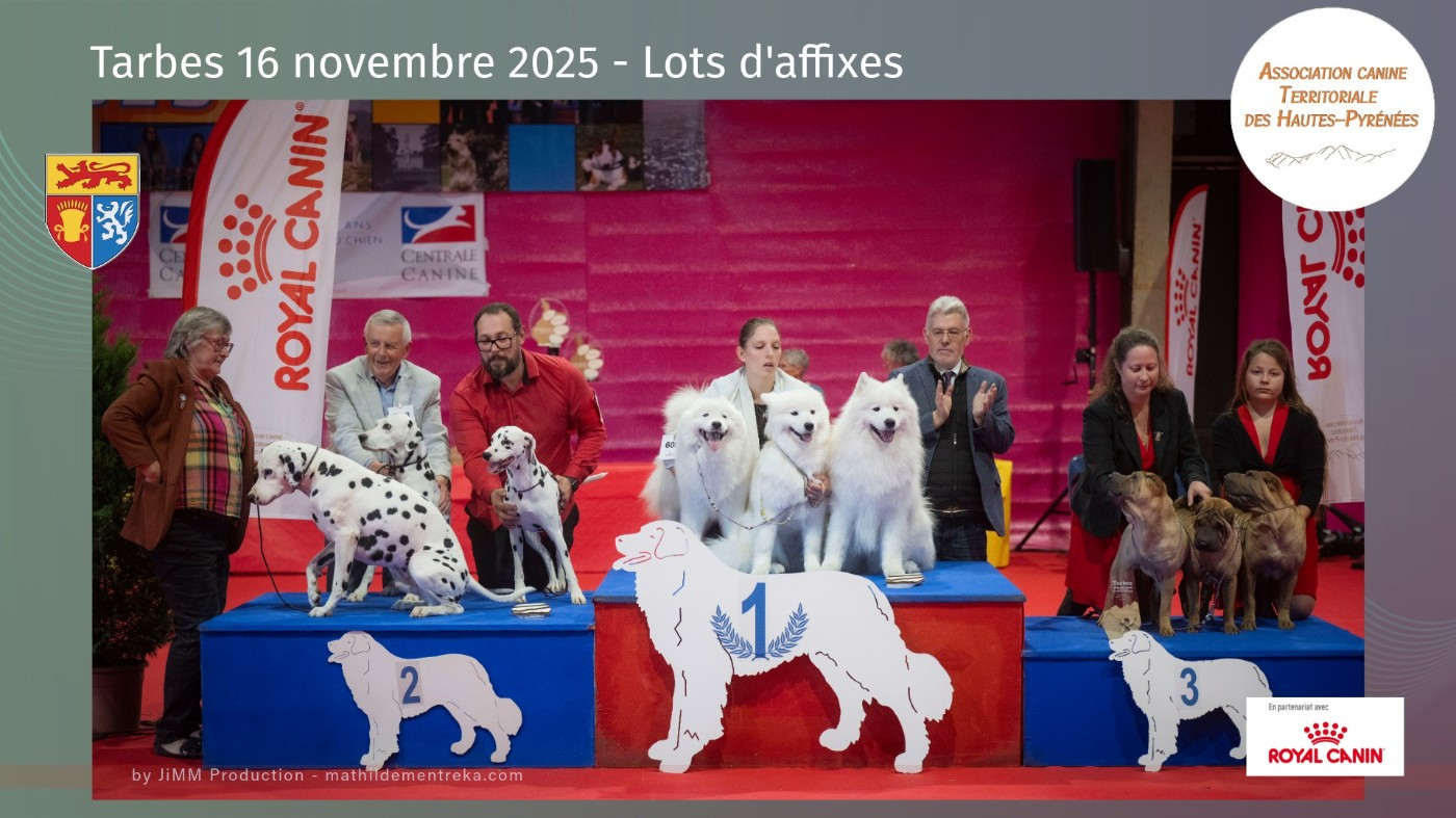 Résultats de l'Exposition Internationale de Tarbes en SPE 2025