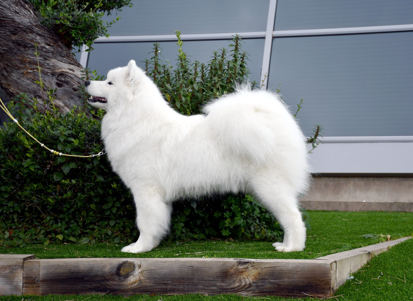 Résultats de l'Exposition Nationale de Perpignan en SPE 2026