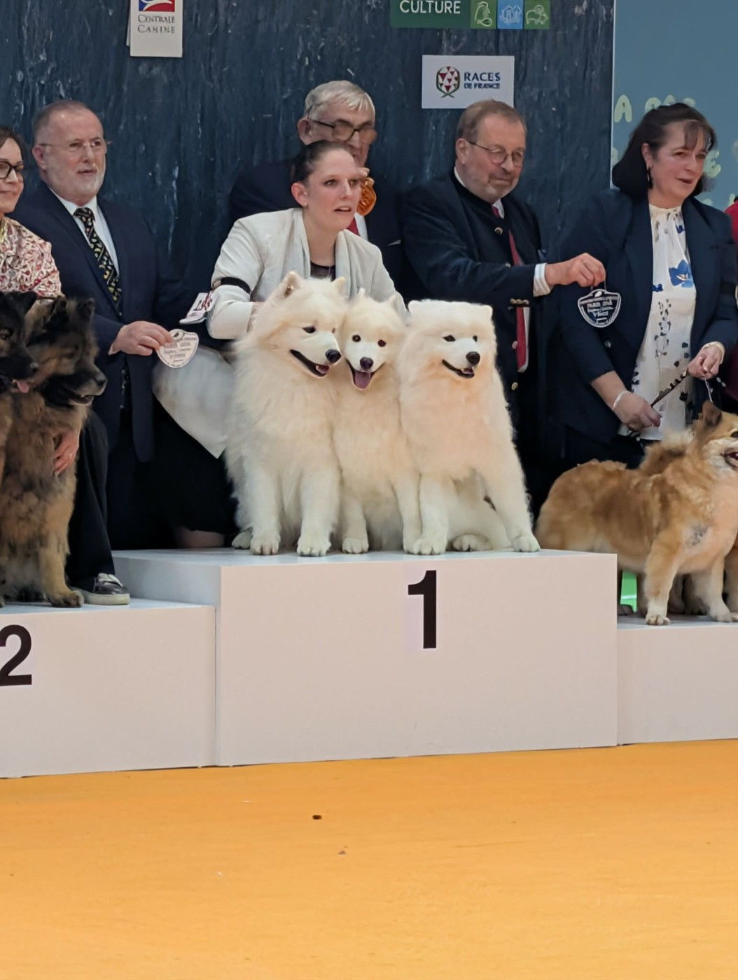 Résultats du Concours Général Agricole 2026