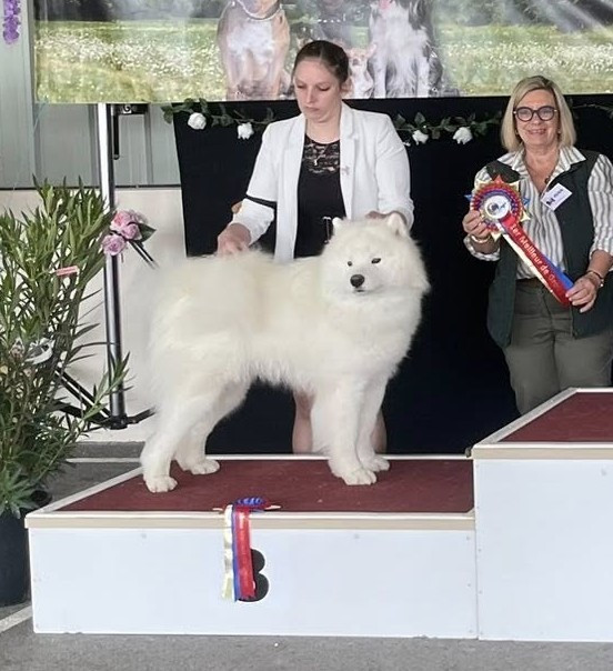 Résultats de l'Exposition Nationale de Monclar de Quercy Samedi 2026
