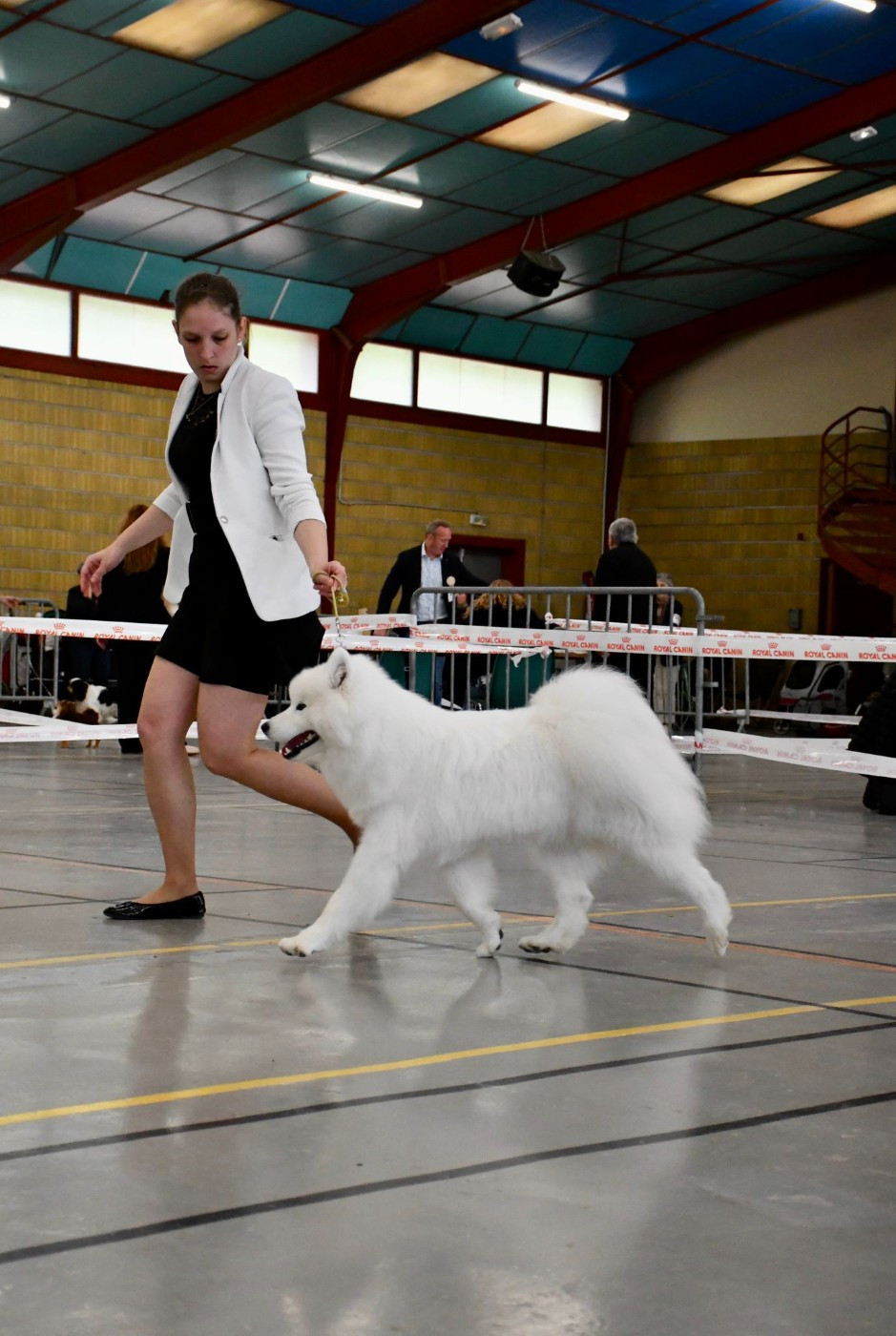 Résultats de l'Exposition Nationale de Monclar de Quercy Dimanche 2026