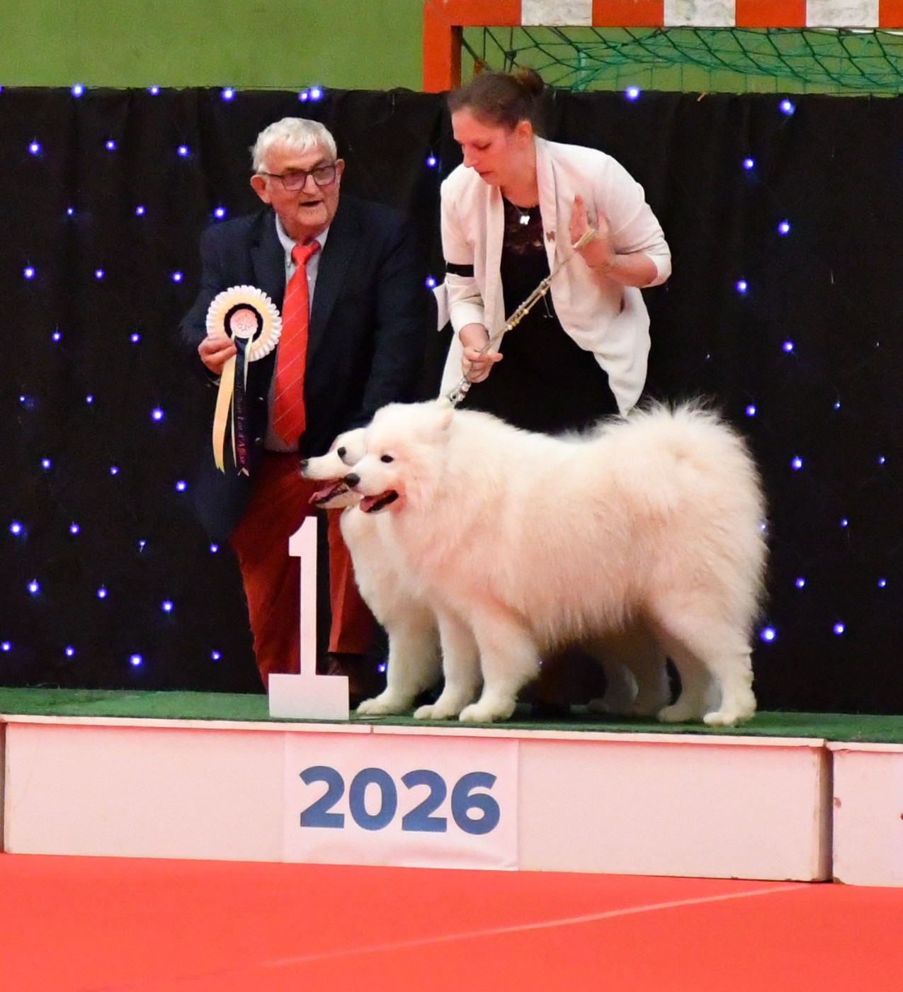 Résultats de l'Exposition Nationale de Balma Samedi 2026