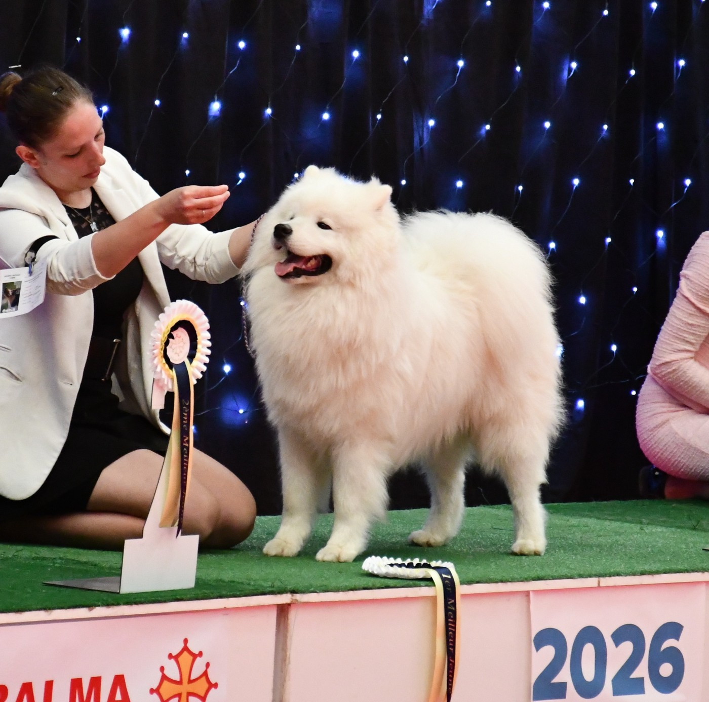 Résultats de l'Exposition Nationale de Balma Dimanche 2026