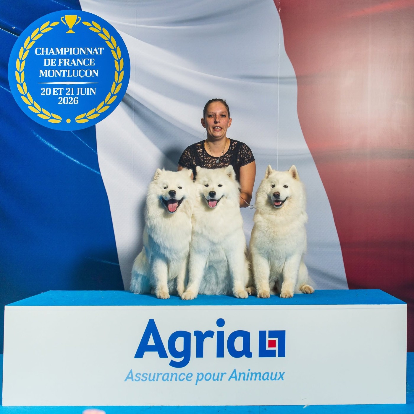 Résultats de l'Exposition Internationale du Championnat de France 2026