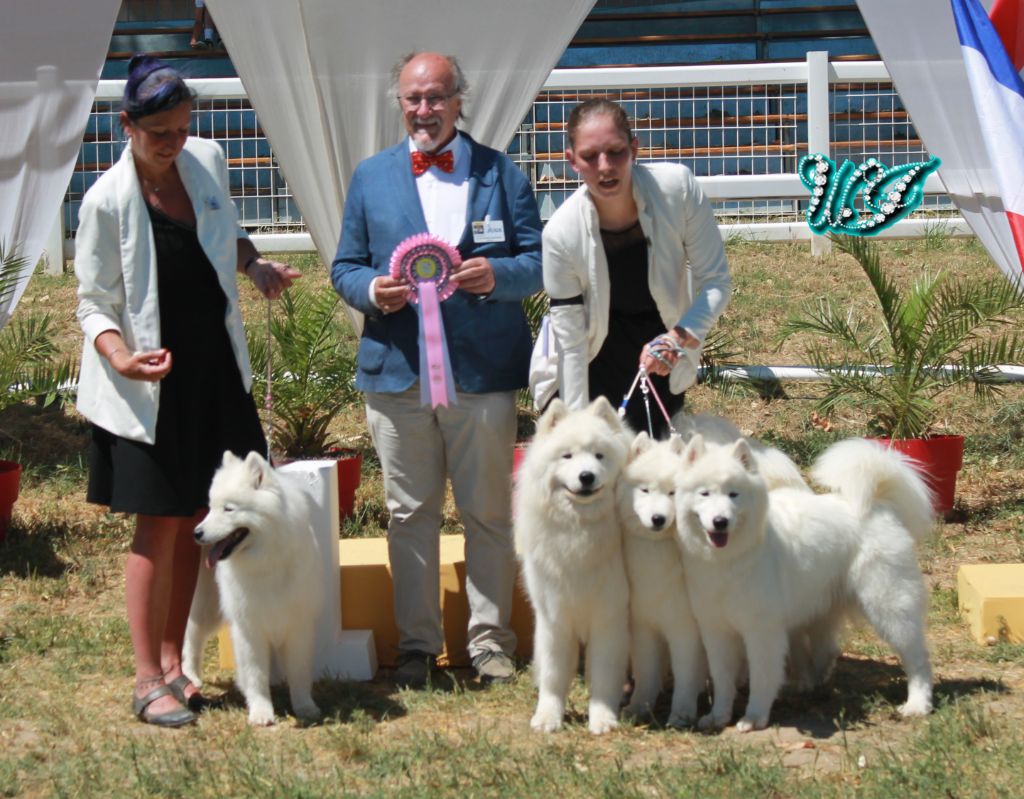 Von Weiss Juwelen - Résultats de l'Exposition Nationale de Carcassonne 2022