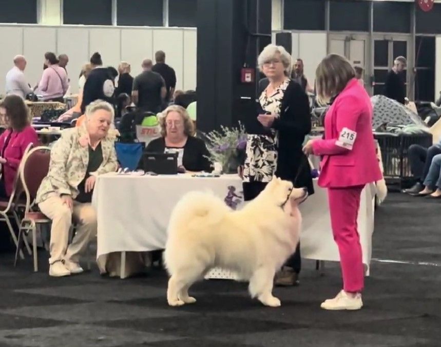 Résultats de l'Exposition Internationale de Pinkstershow 2025