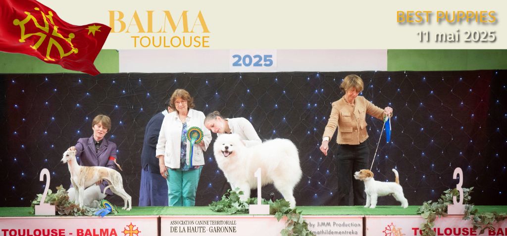 Von Weiss Juwelen - Résultats de l'Exposition Nationale de Balma Dimanche 2025