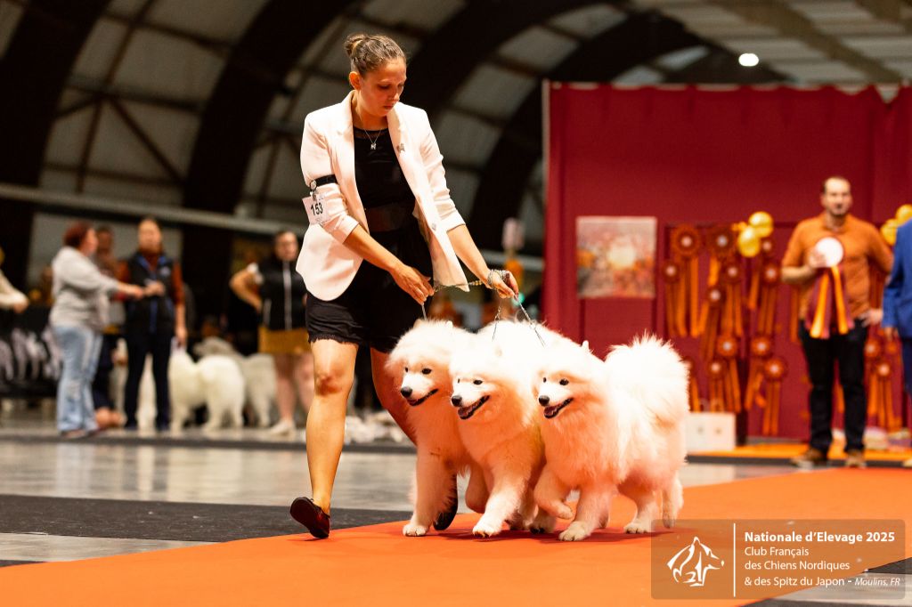 Résultats de la Nationale d'Elevage du CFCNSJ 2025