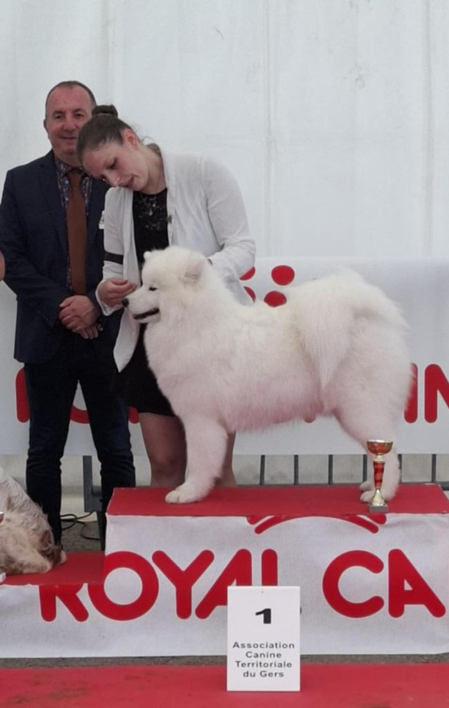 Résultats de l'Exposition Nationale de Auch 2025