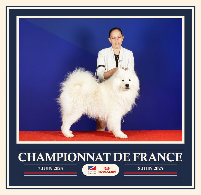 Von Weiss Juwelen - Résultats de l'Exposition Internationale du Championnat de France 2025