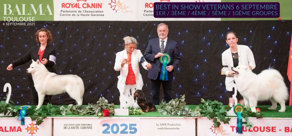 Résultats de l'Exposition Internationale de Toulouse 2025