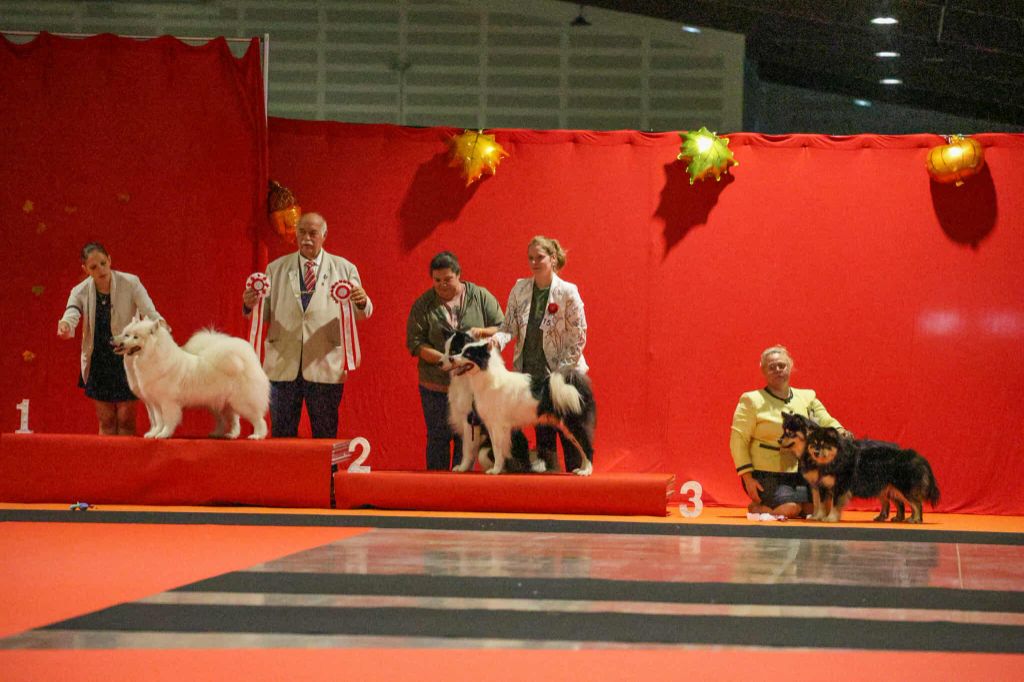 Résultats de la Régionale d'Elevage du Bourbonnais 2025