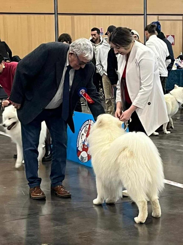 Von Weiss Juwelen - Résultats de l'Exposition Internationale de Paris 2024