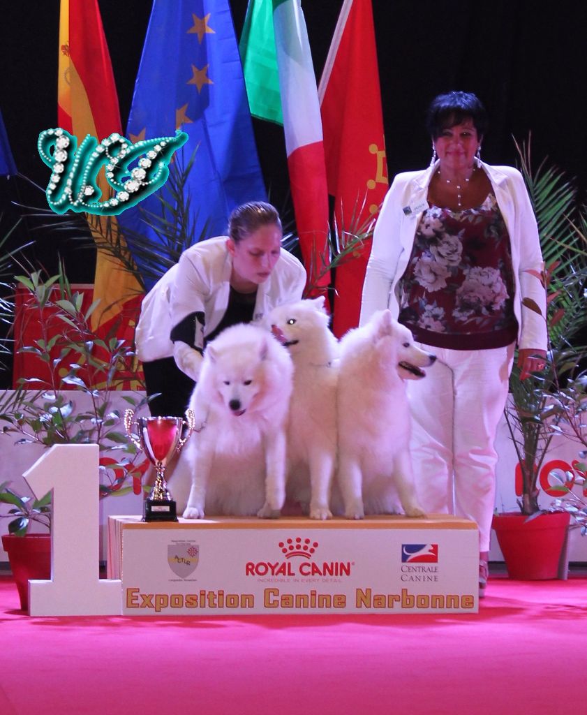 Von Weiss Juwelen - Résultat de l'Exposition Nationale de Narbonne 2017